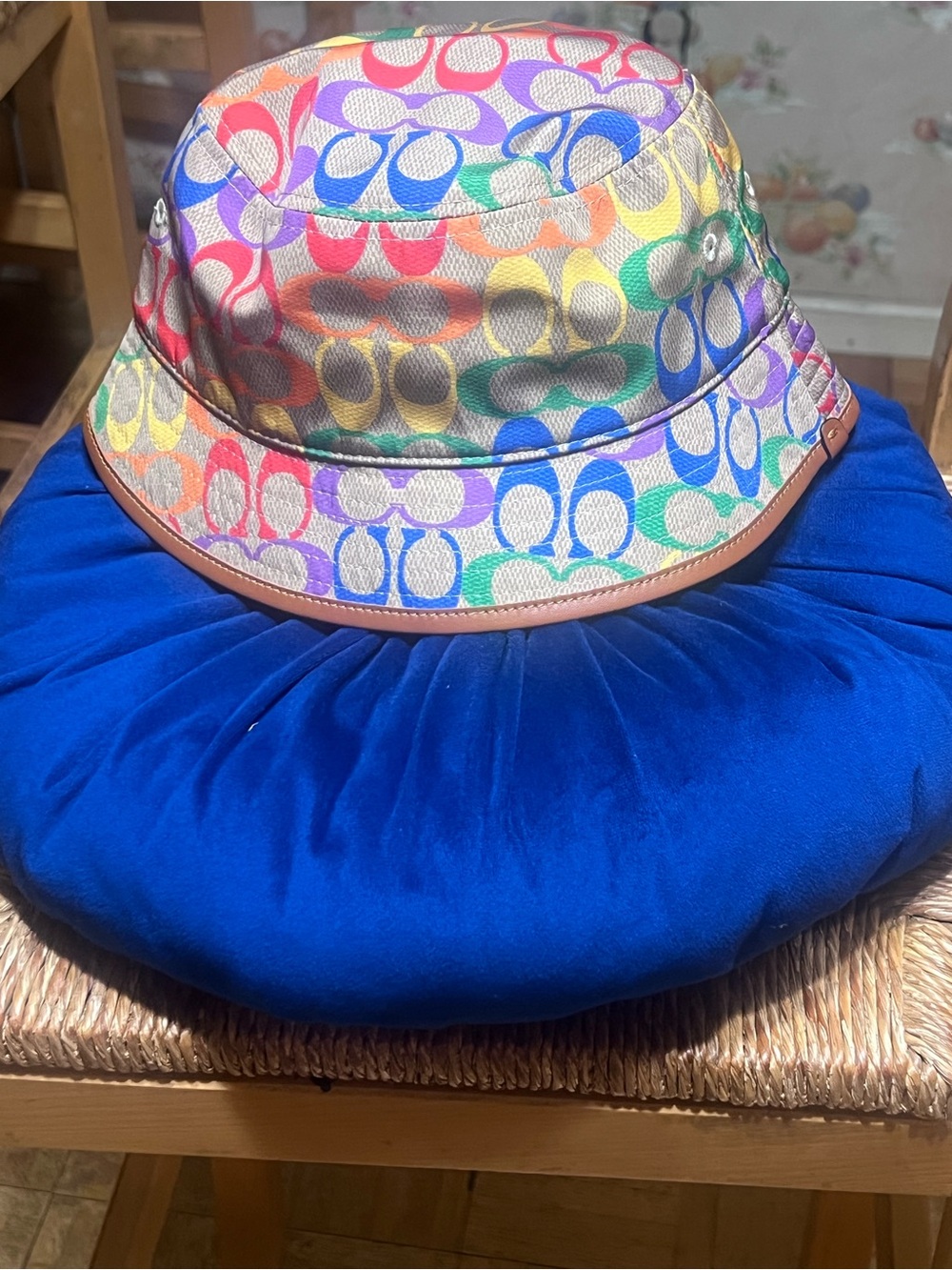 Coach Rainbow Signature Bucket Hat - Multicolor